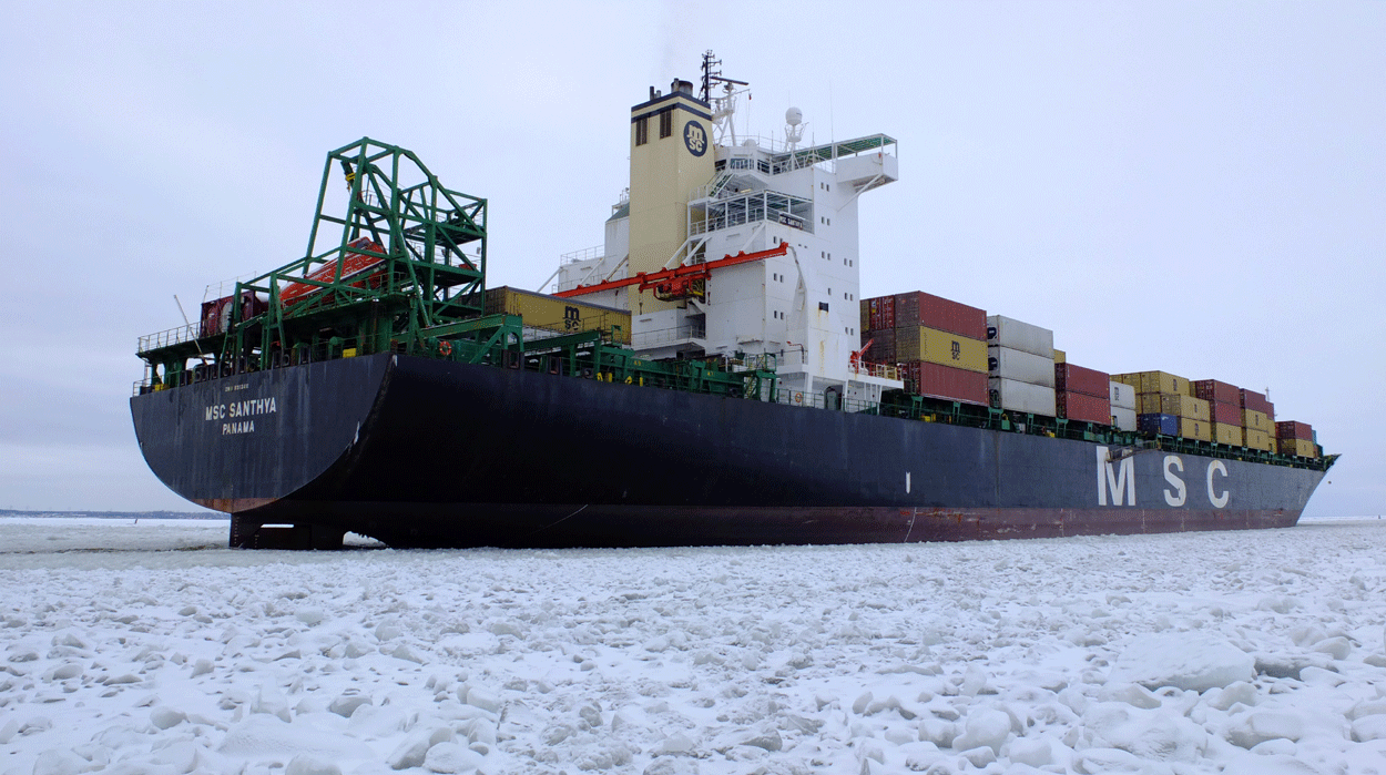MSC Santhya