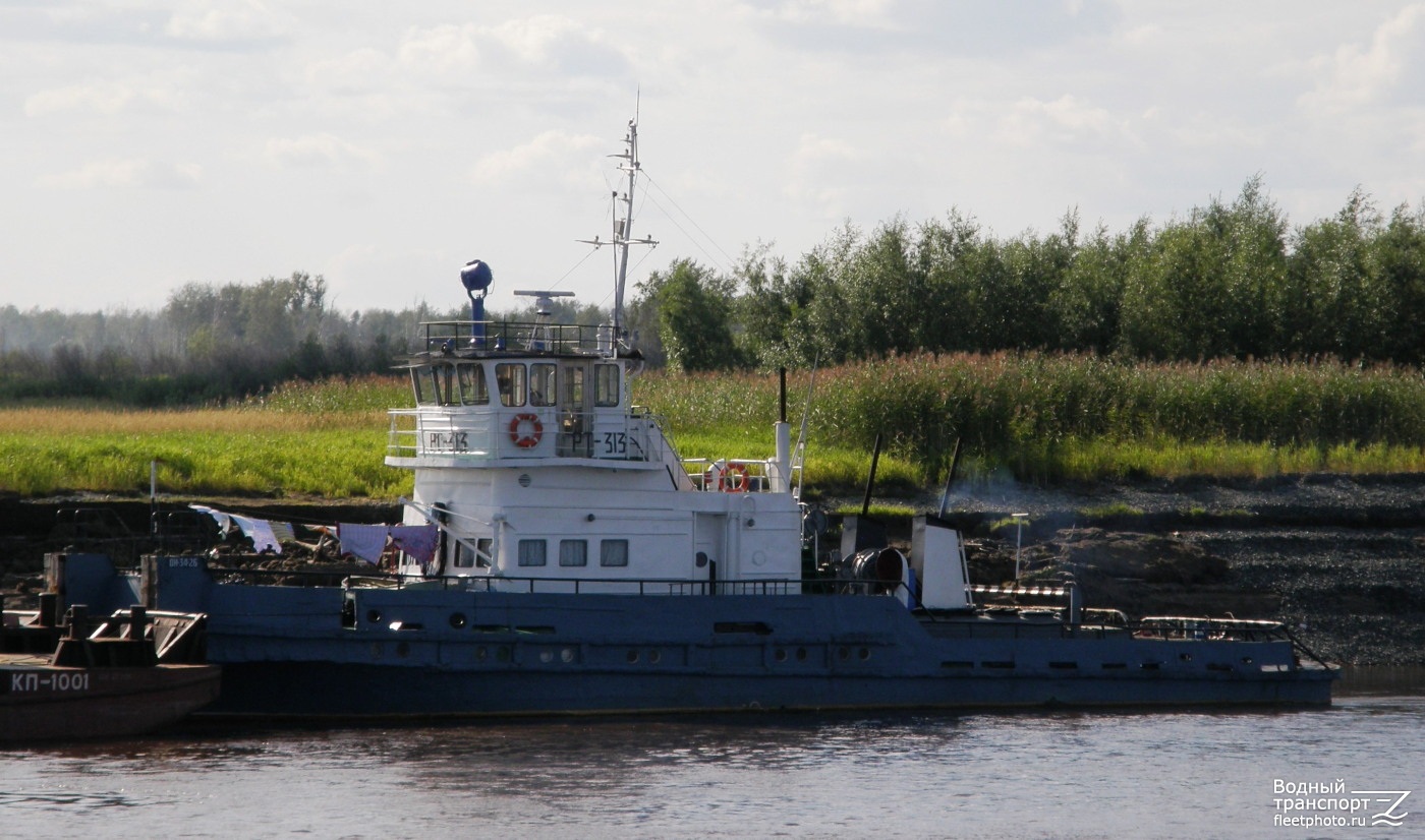 РТ-313