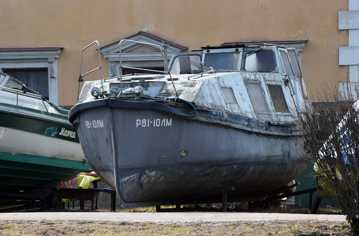 Р 81-10 ЛМ