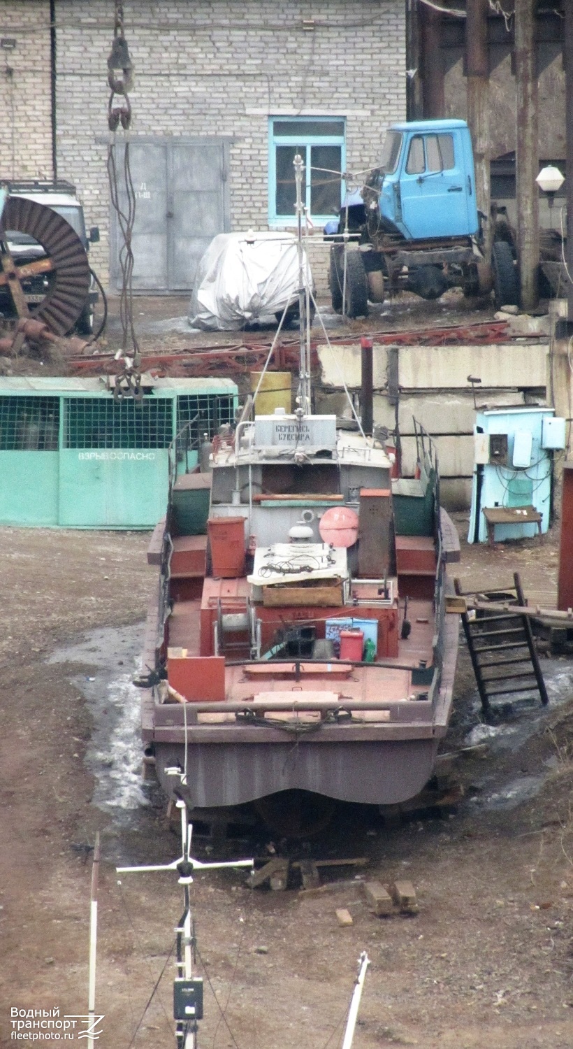 Стриж