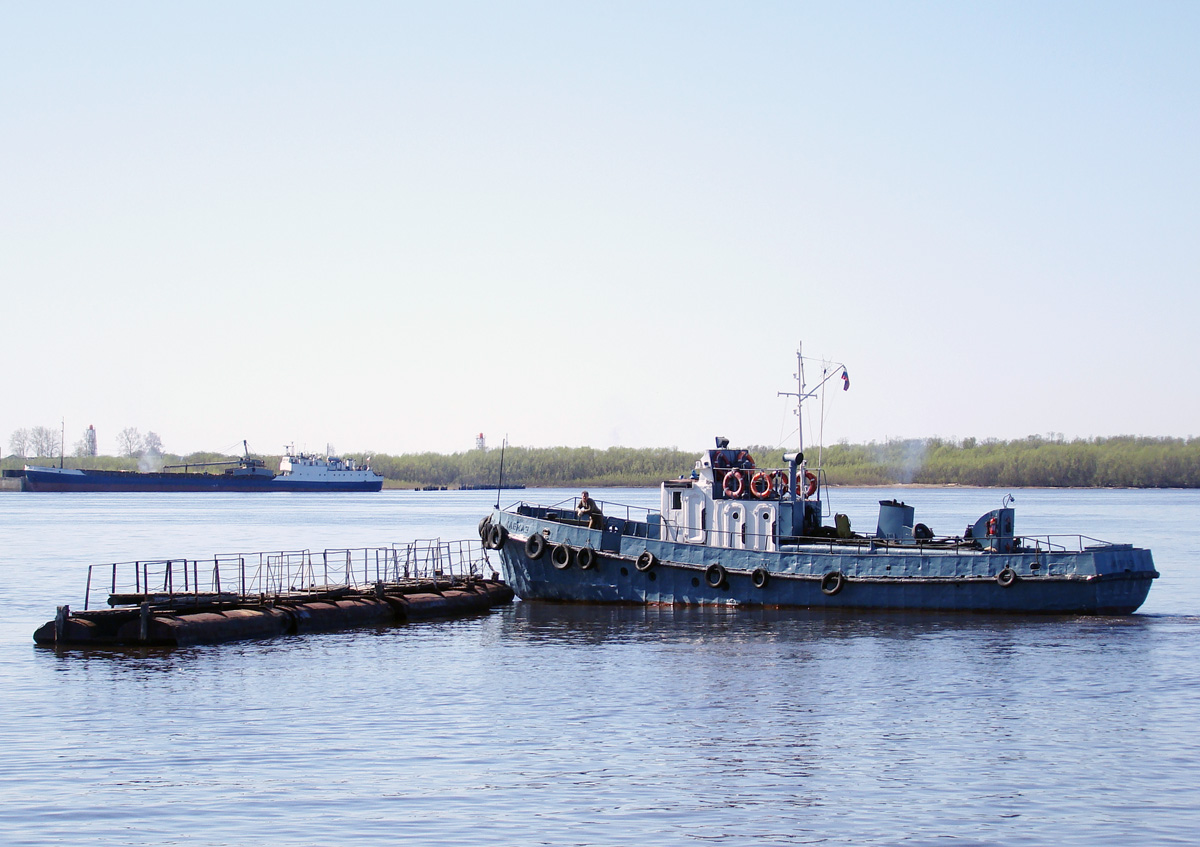 Кавказ