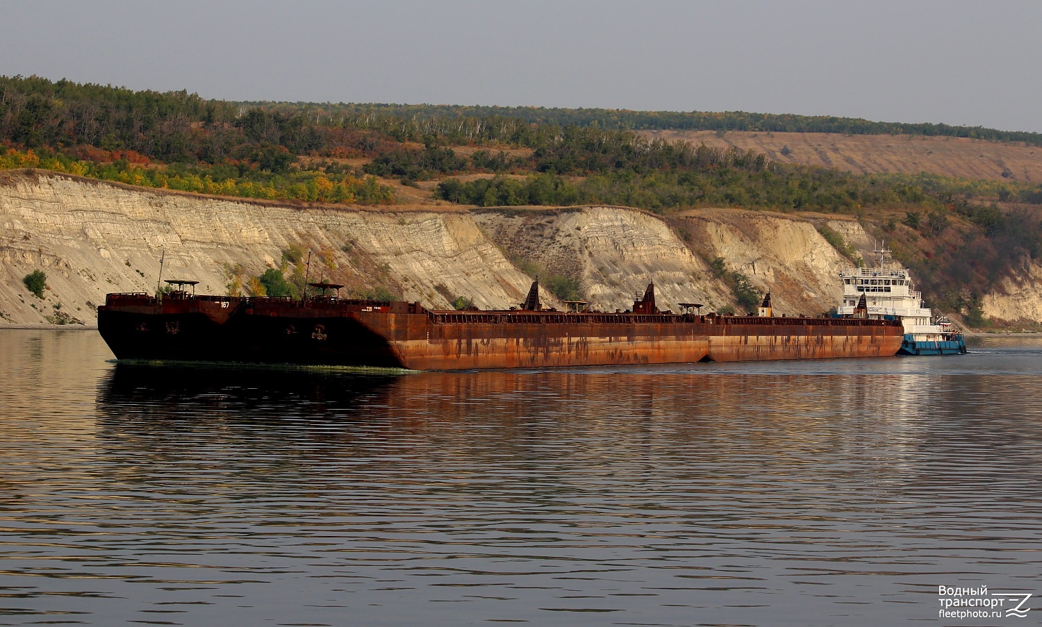 Секция-239, Секция-172, Профессор Рыжов