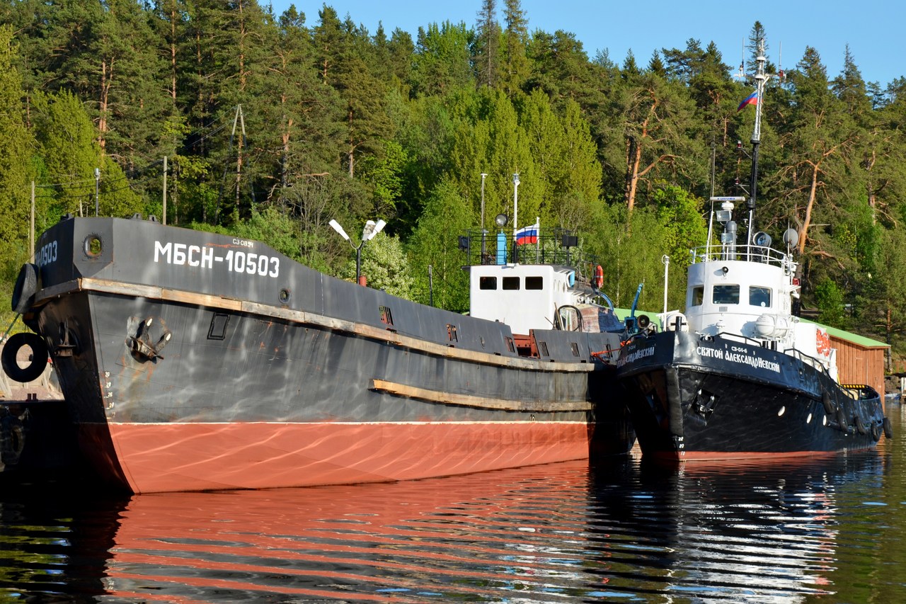 МБСН-10503, Святой Александр Невский