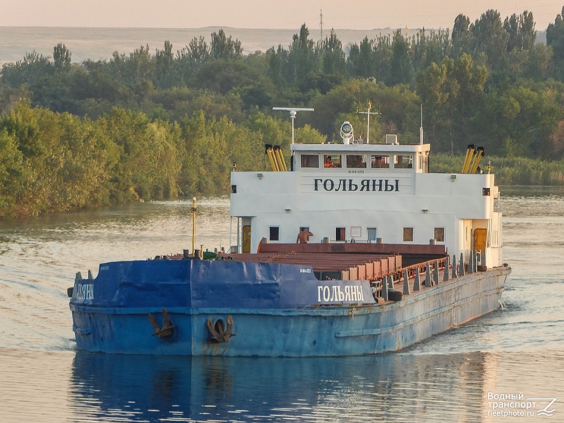 Гольяны