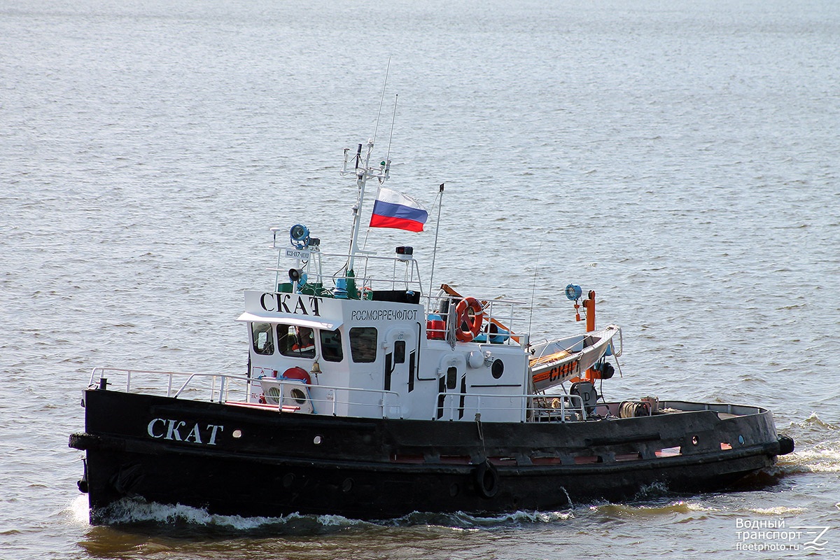 Скат