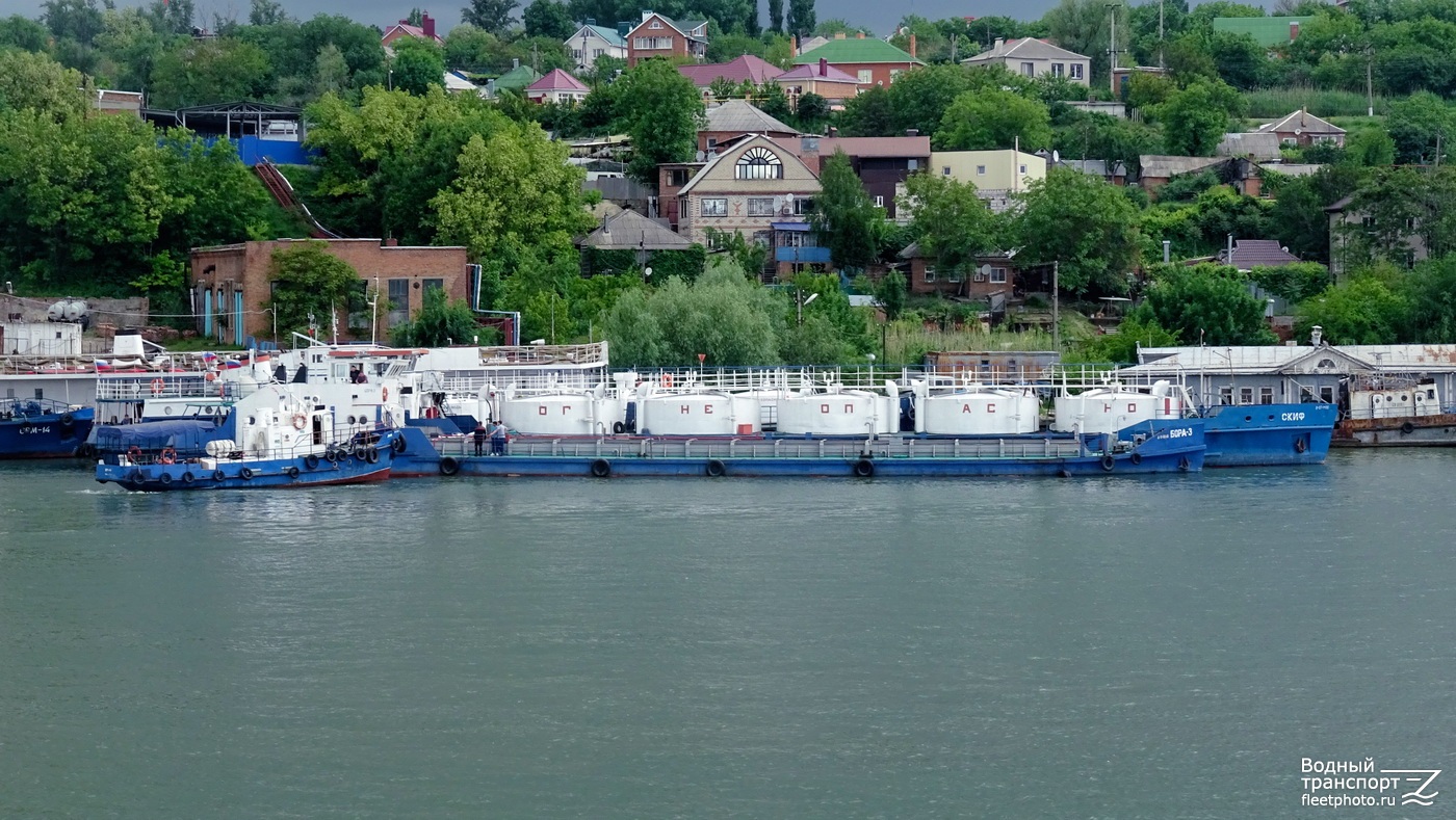 Дельфин, Бора-3