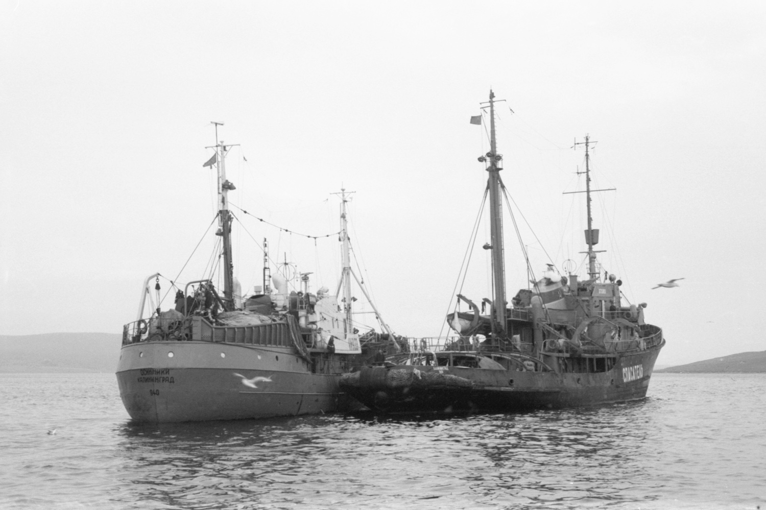 СРТР-9133 Осинники, Стойкий