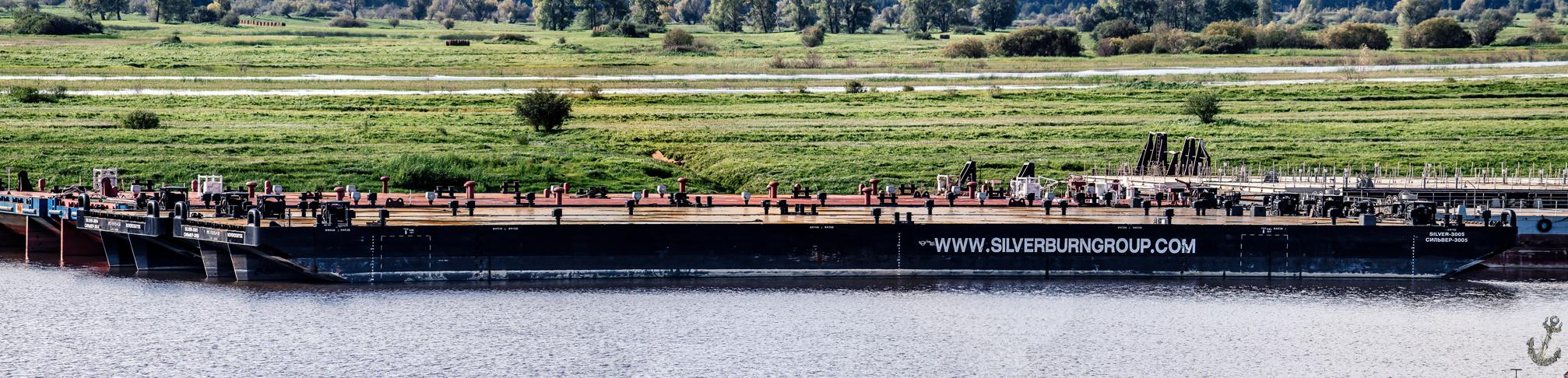 Сильвер-3005