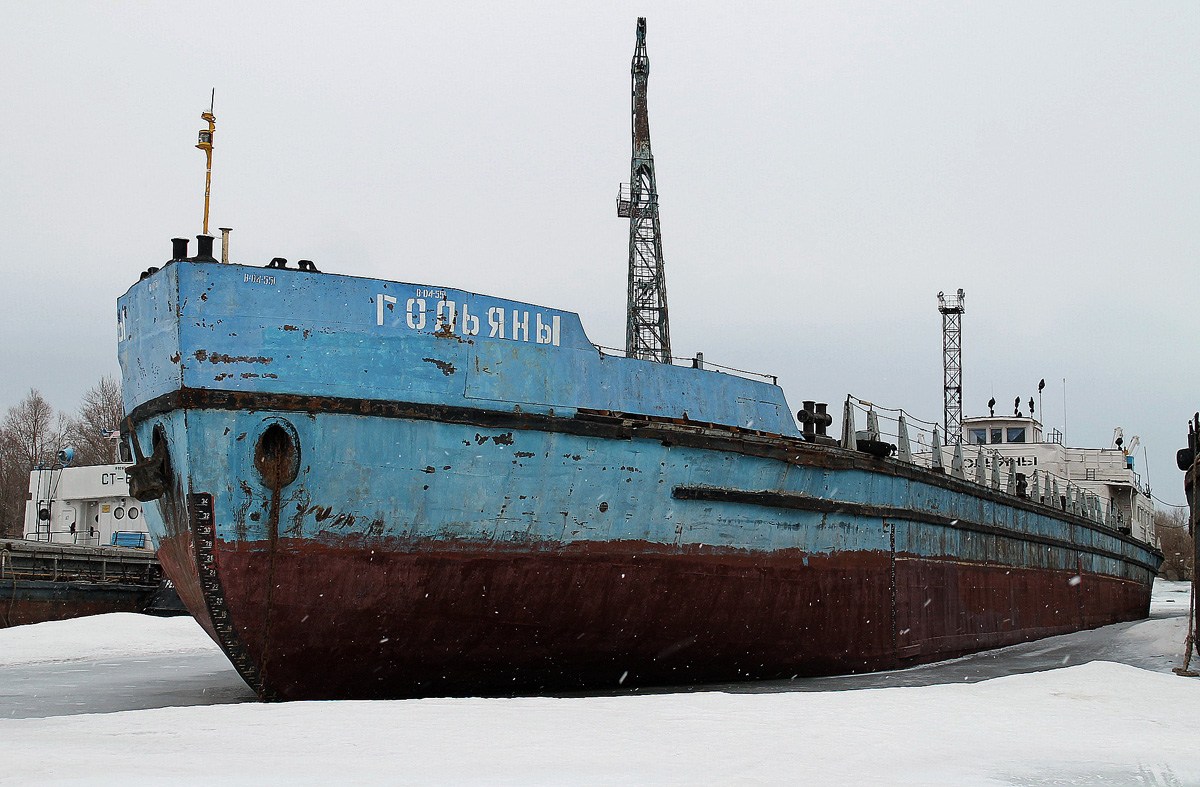 Гольяны