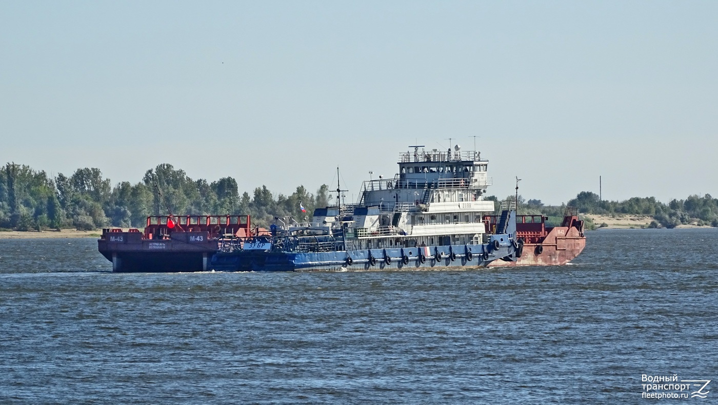 М-43, Зубр