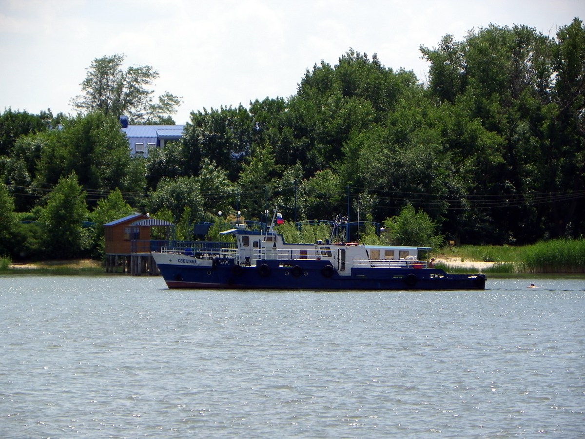 Светлана, Барс
