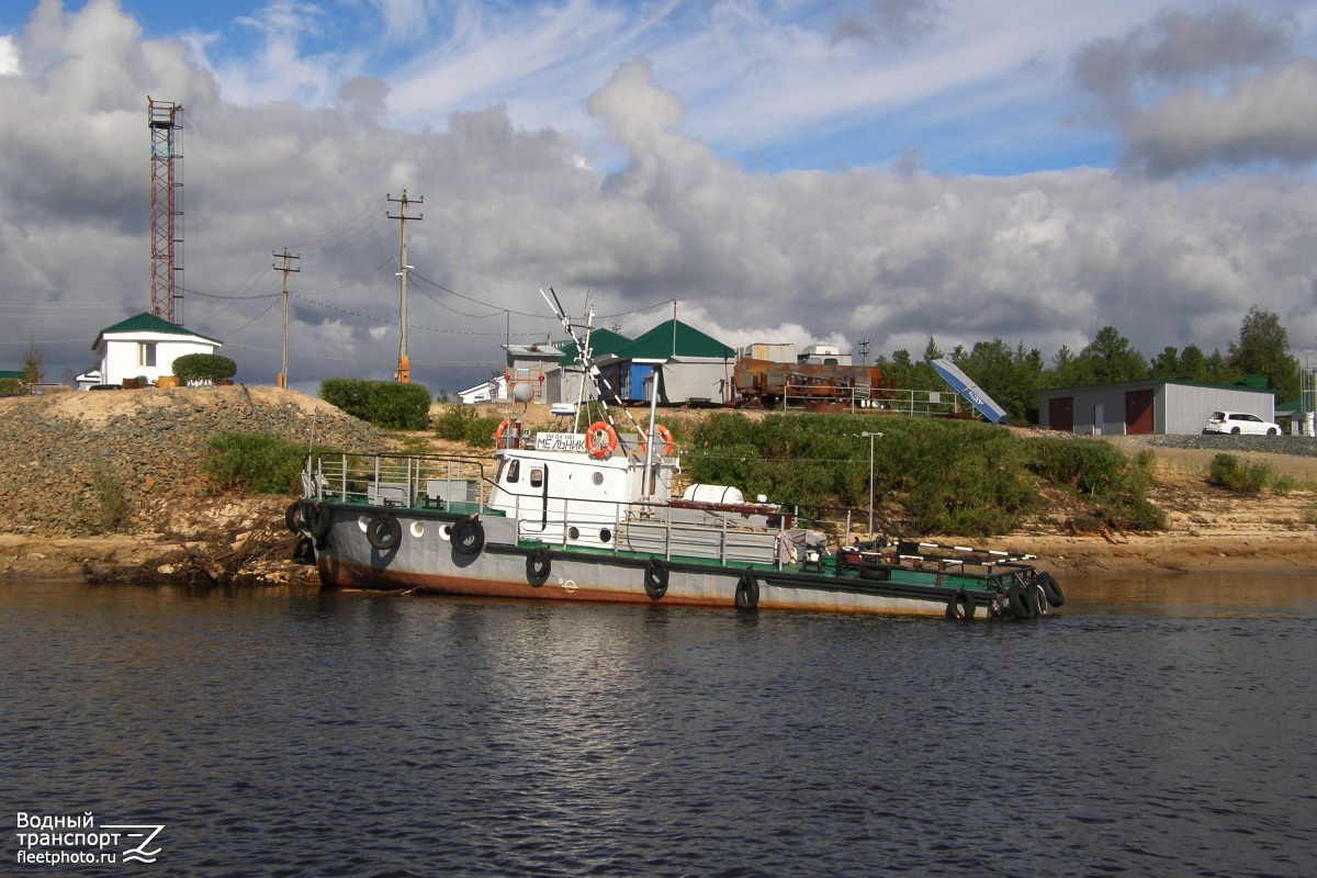 Мельник