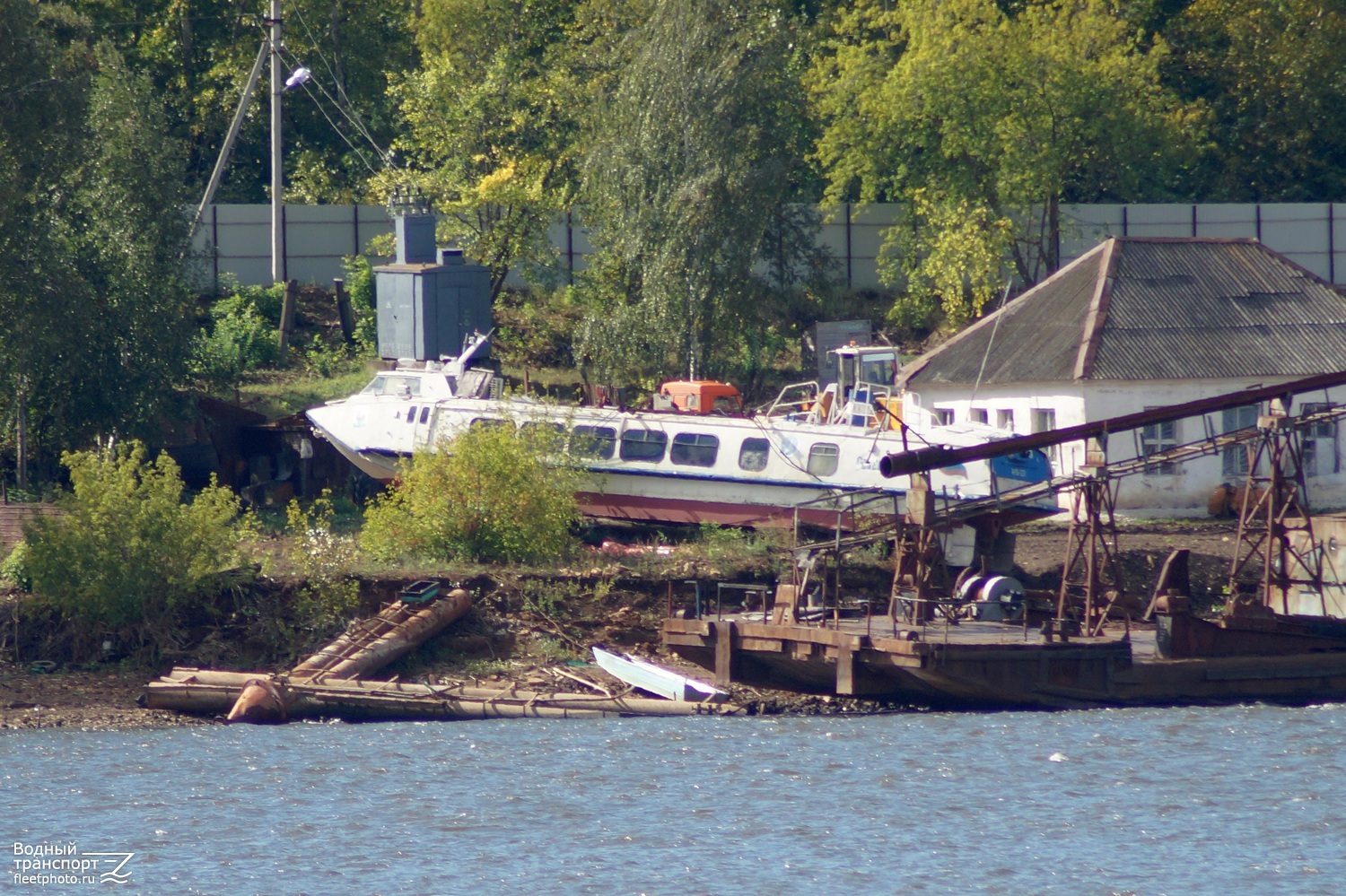 Полесье-31