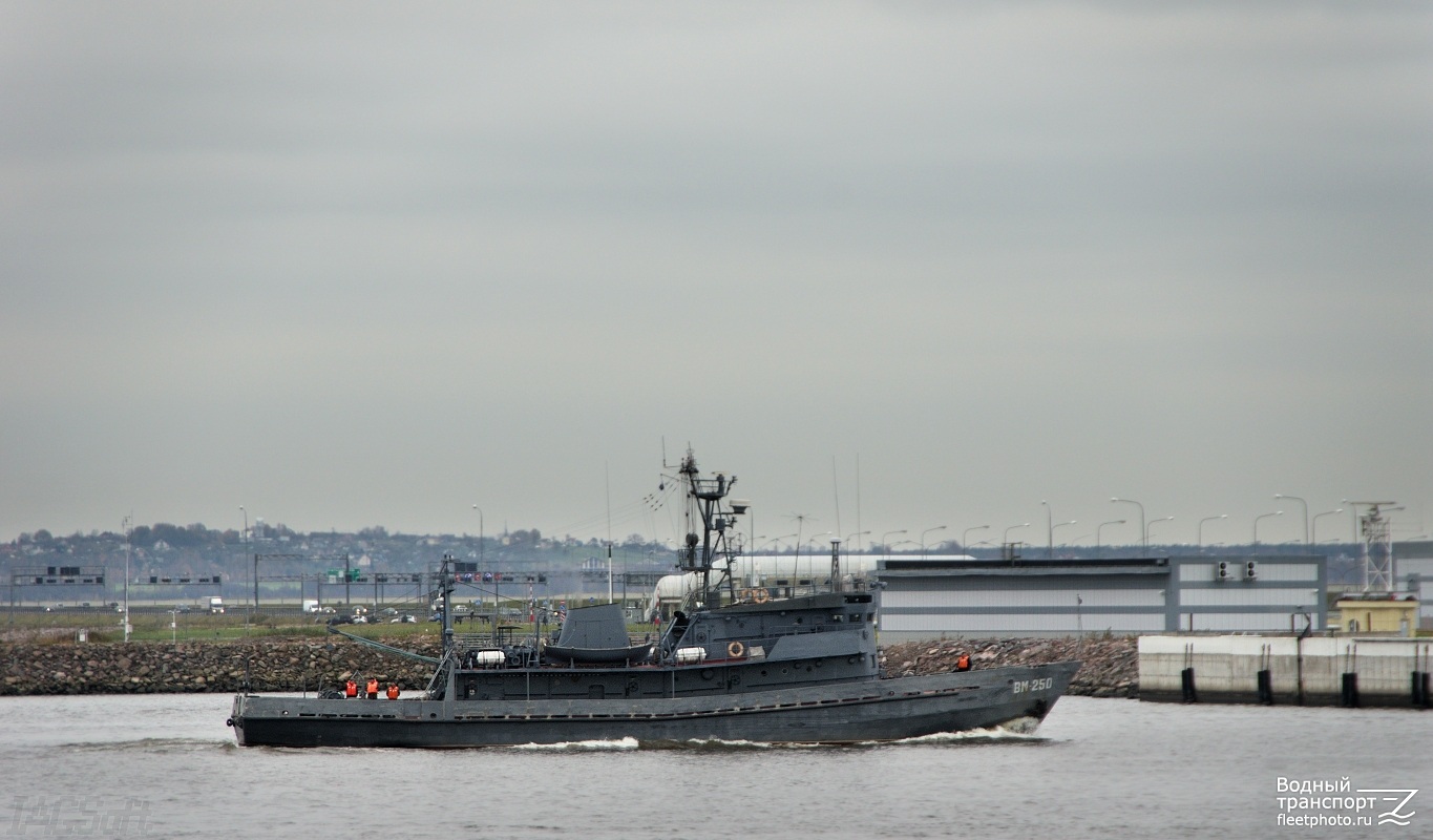 ВМ-250