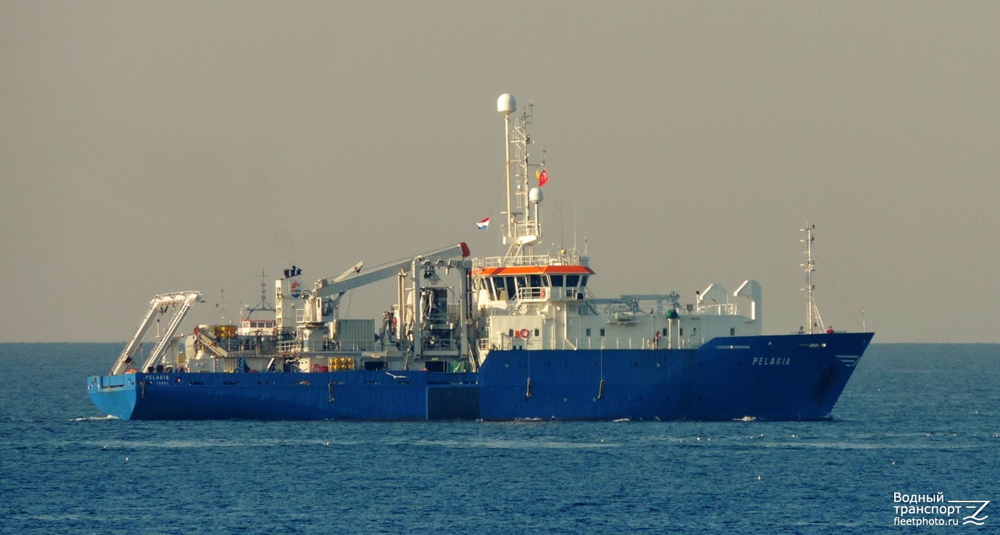 Pelagia