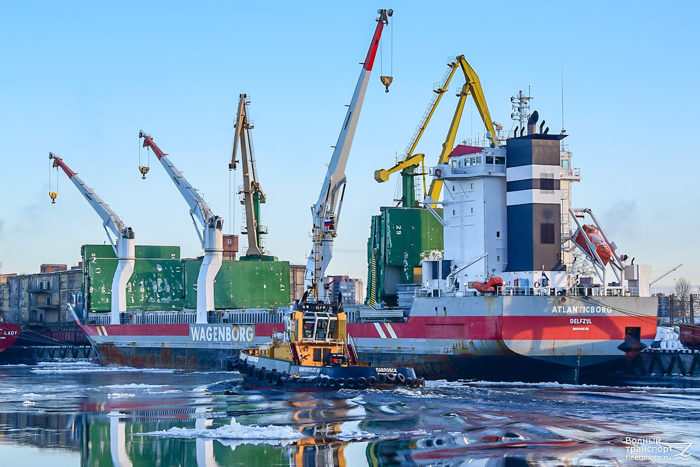 Atlanticborg, Павловск