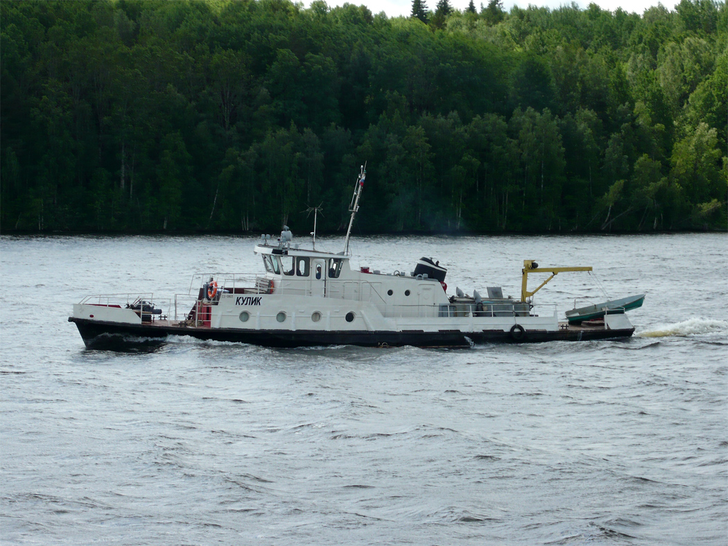 Кулик