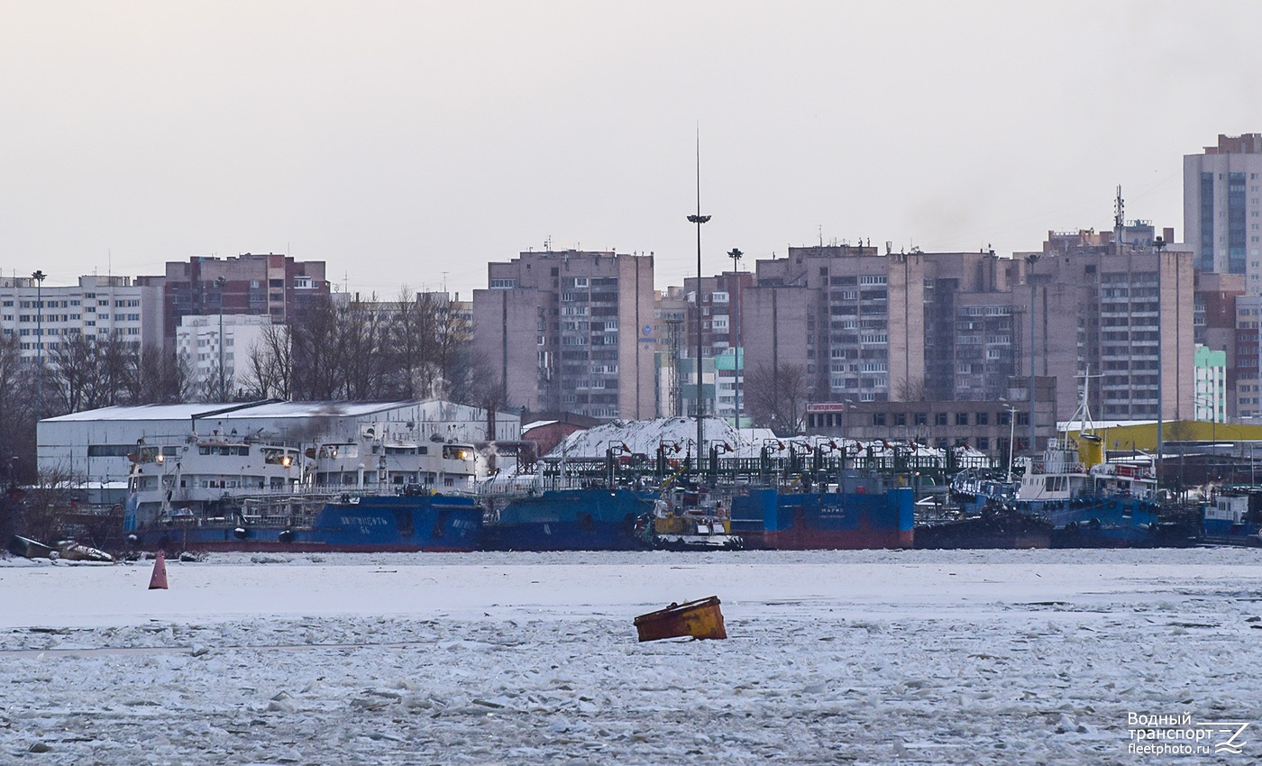 Волгонефть-56, Волгонефть-41, Скат, Мария