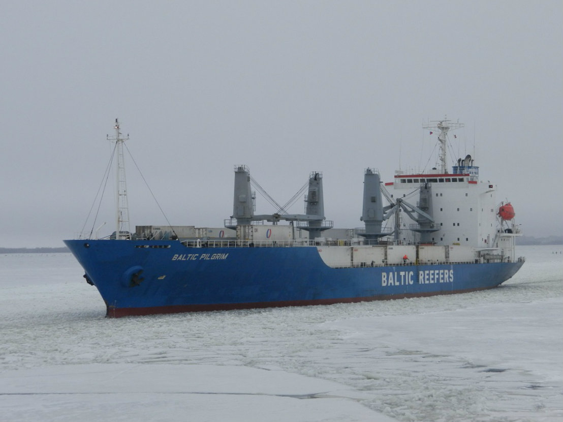 Baltic Pilgrim