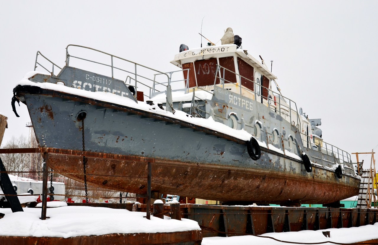 Ястреб