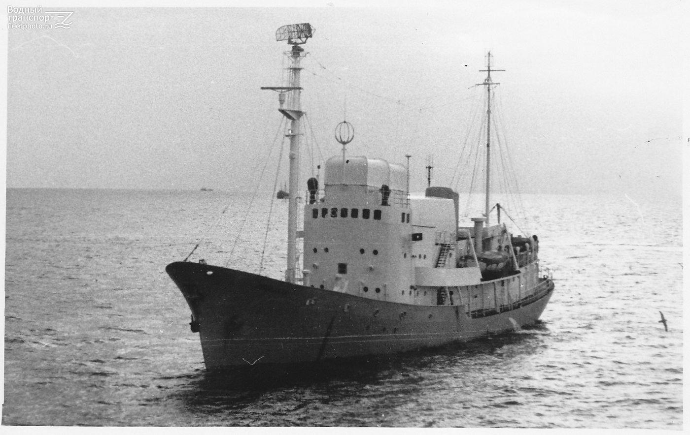 Marjata