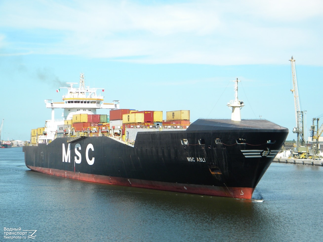 MSC Asli