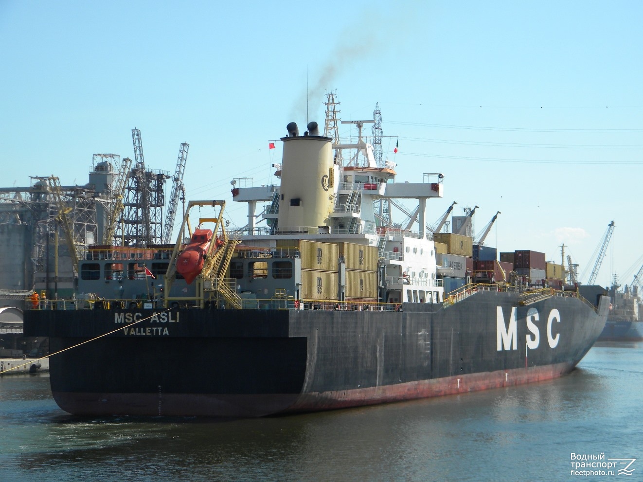MSC Asli
