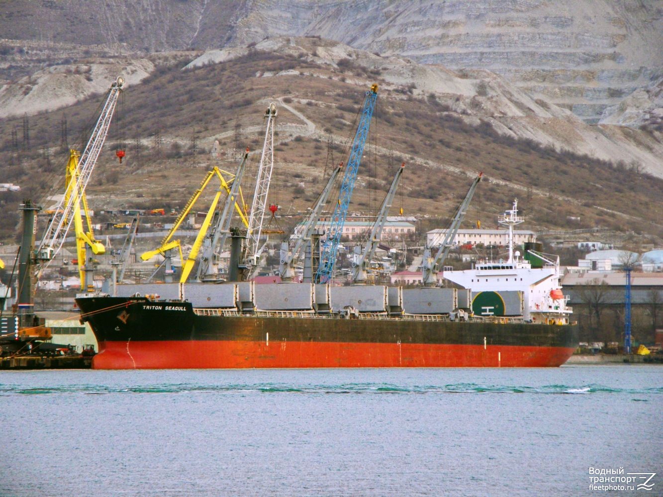 Triton Seagull
