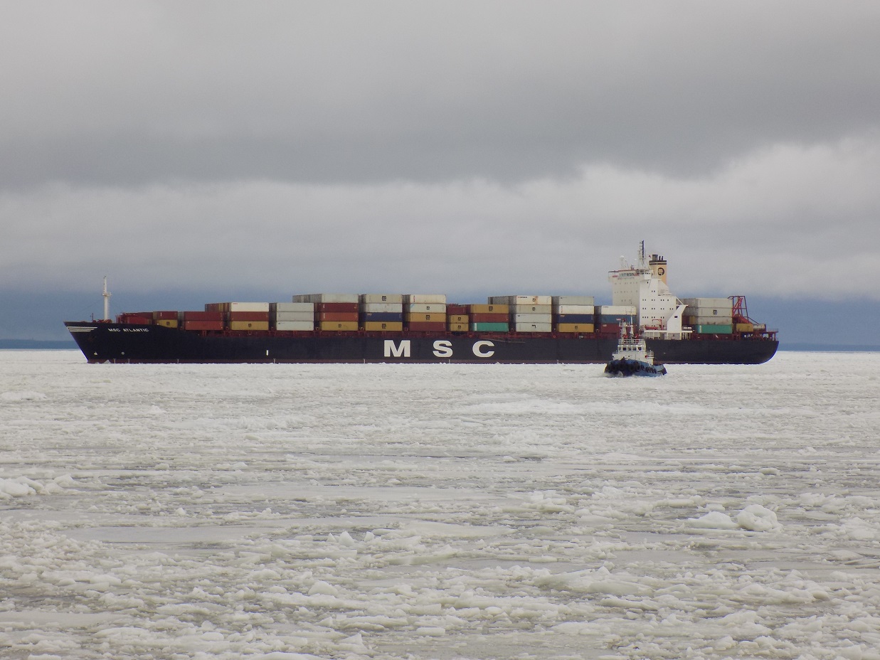 MSC Atlantic, Зубр