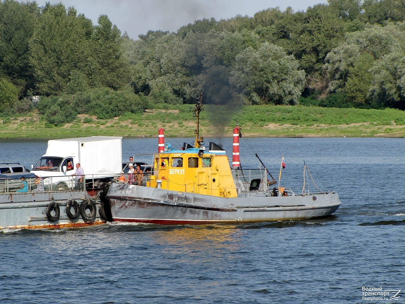 Беркут