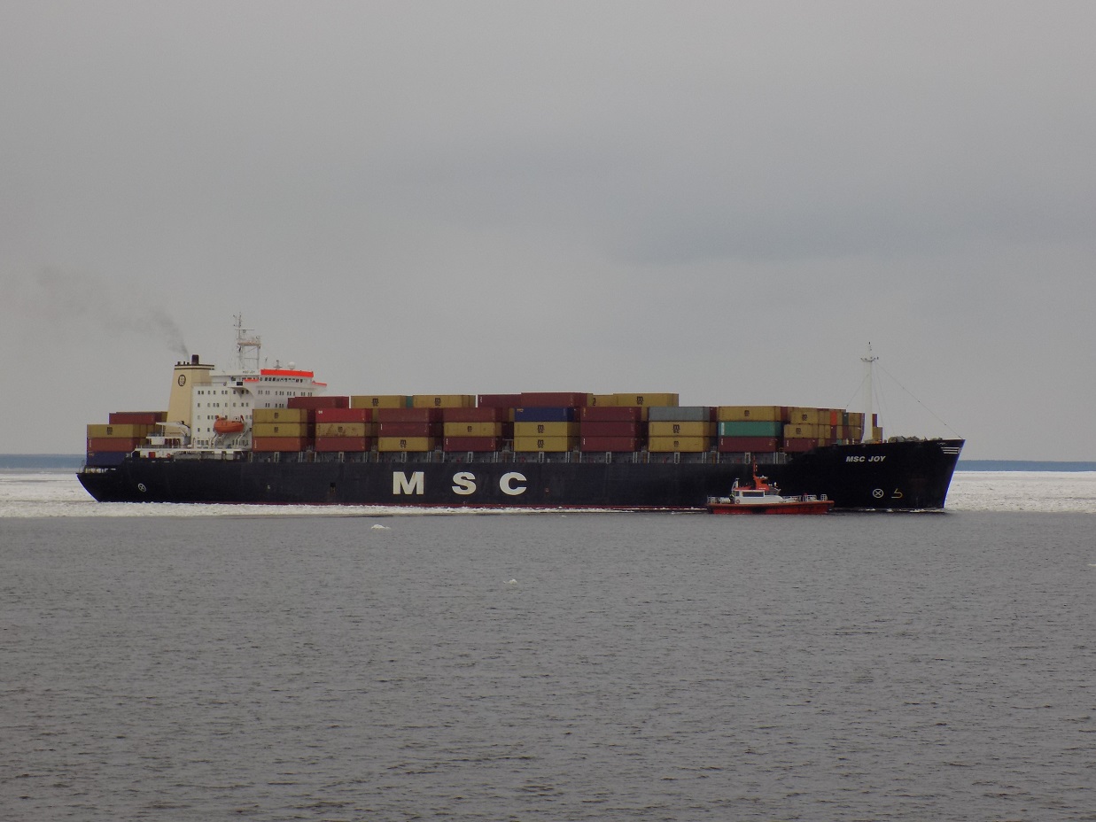 MSC Joy