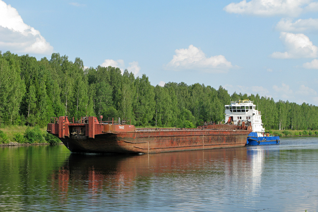 Павлин Виноградов, 7663