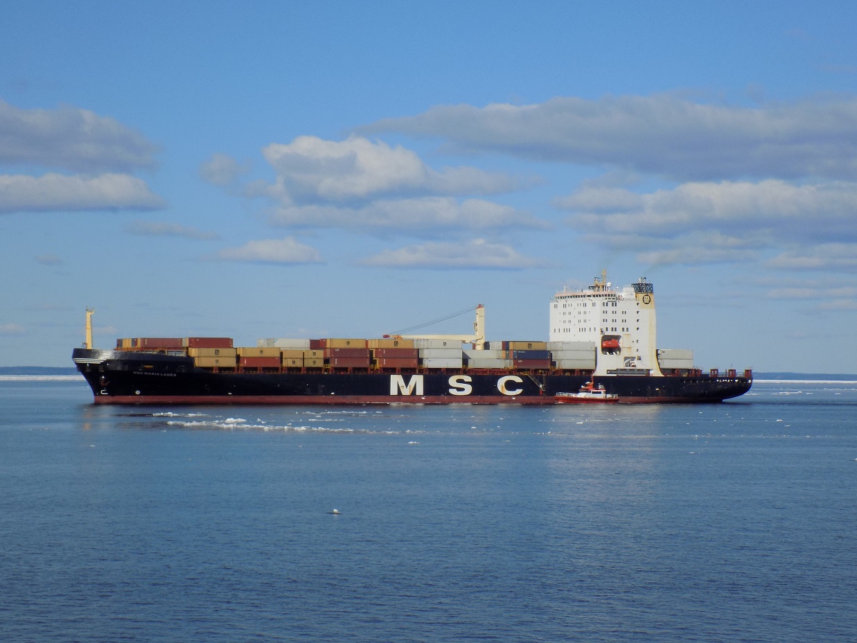 MSC Maria Laura
