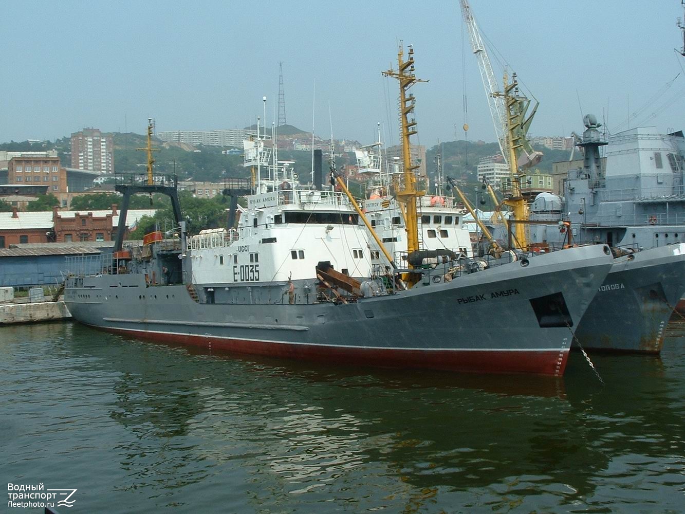 Рыбак Амура