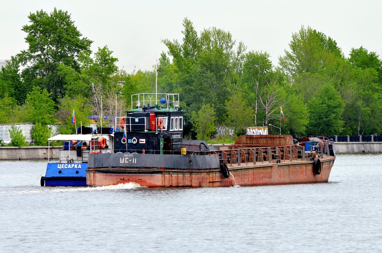 ШС-11