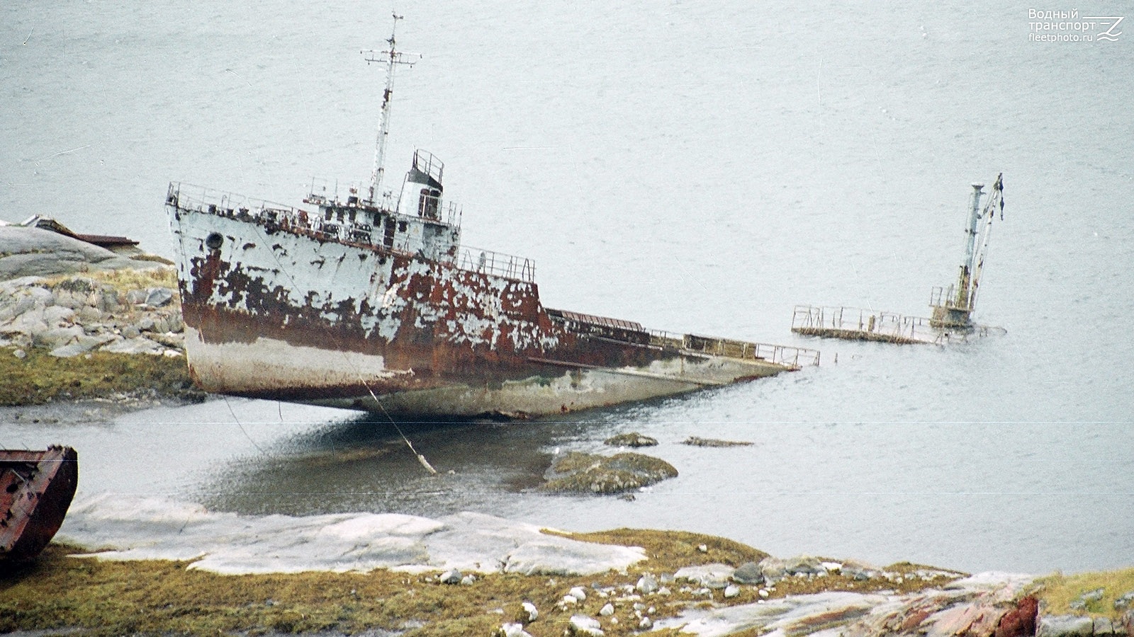 ТНТ-8
