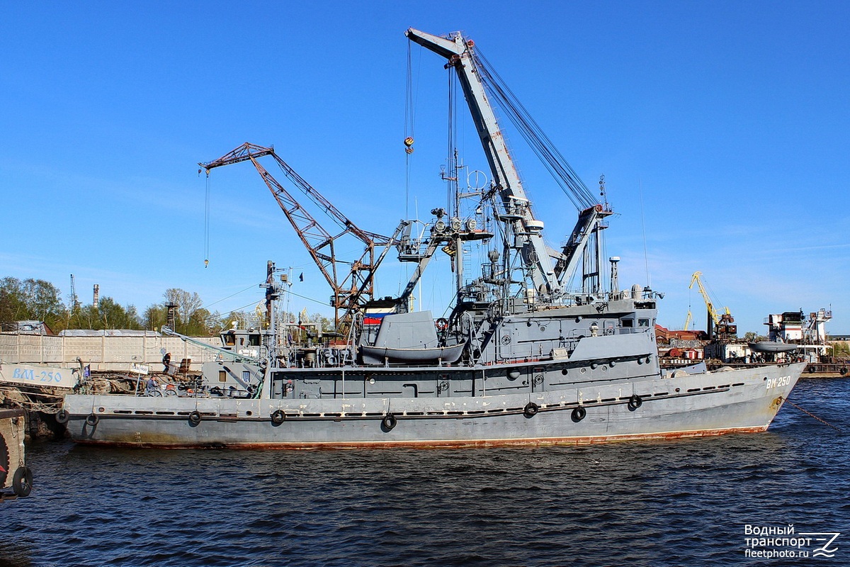 ВМ-250