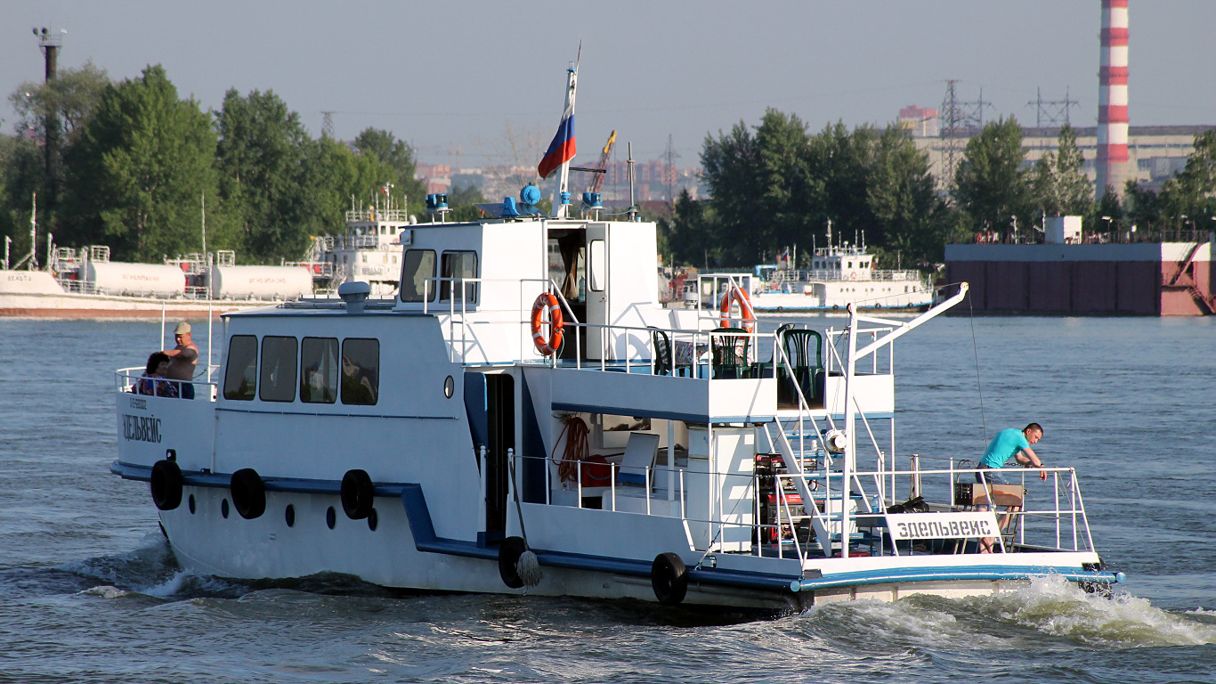 Эдельвейс