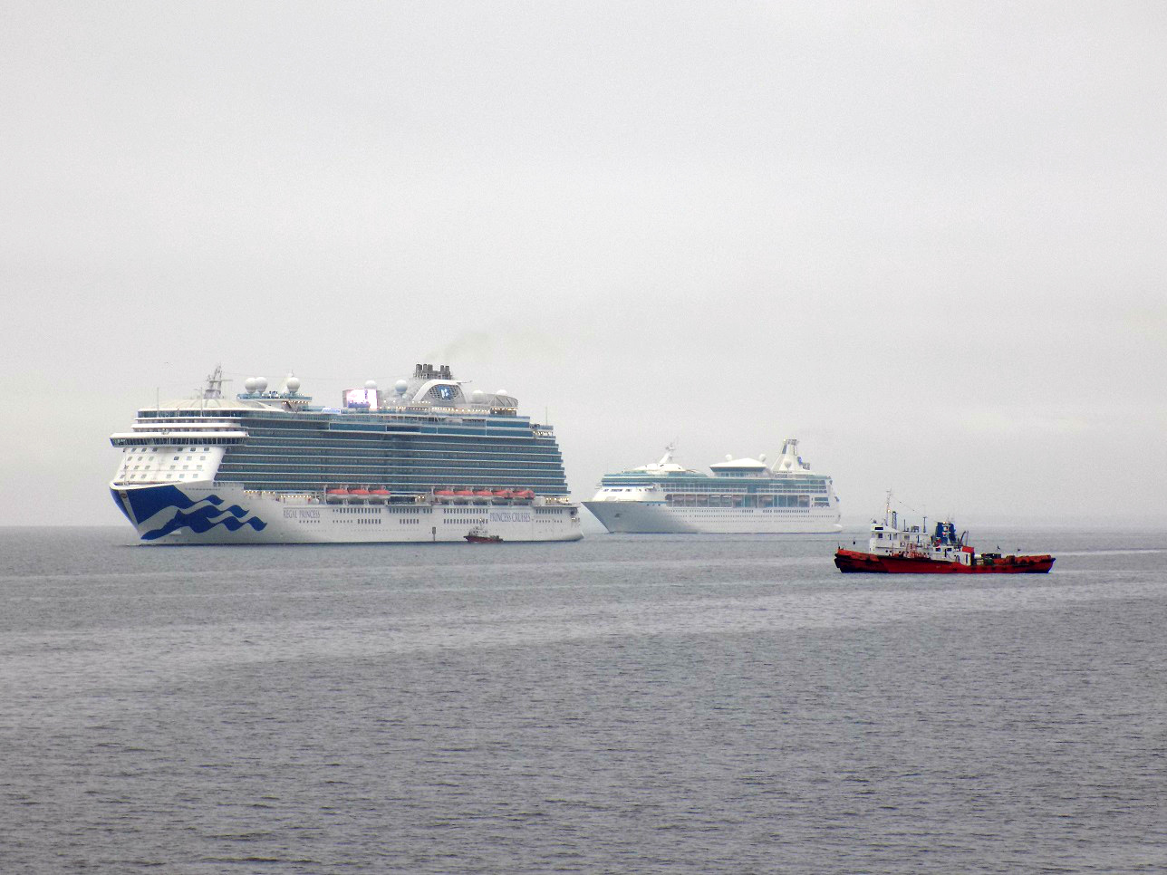 Regal Princess, Лоцман Фёдоров, Vision of the Seas, Буг, Лоцман-9