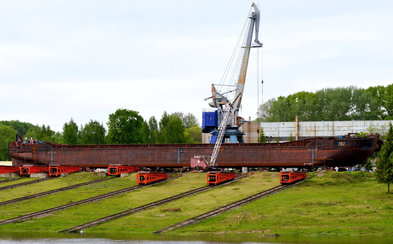 №7917