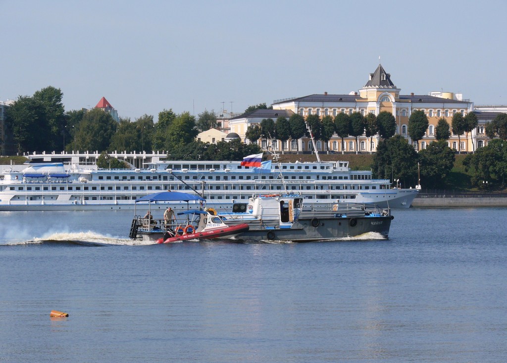 Чайка