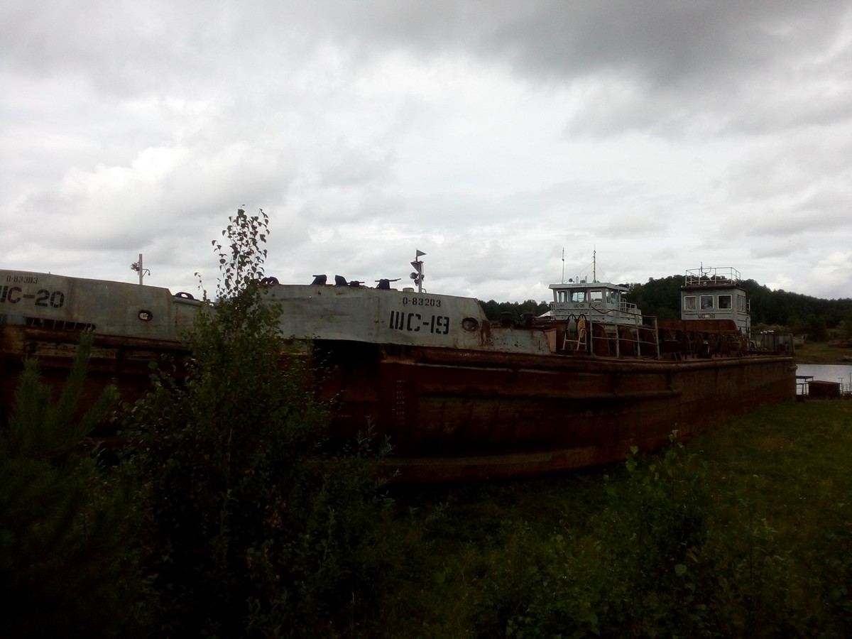ШС-19