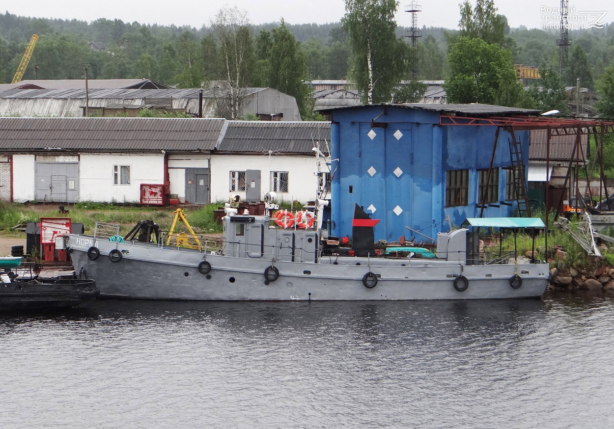 Норка
