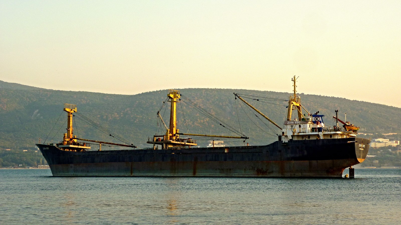 Ziya Koc