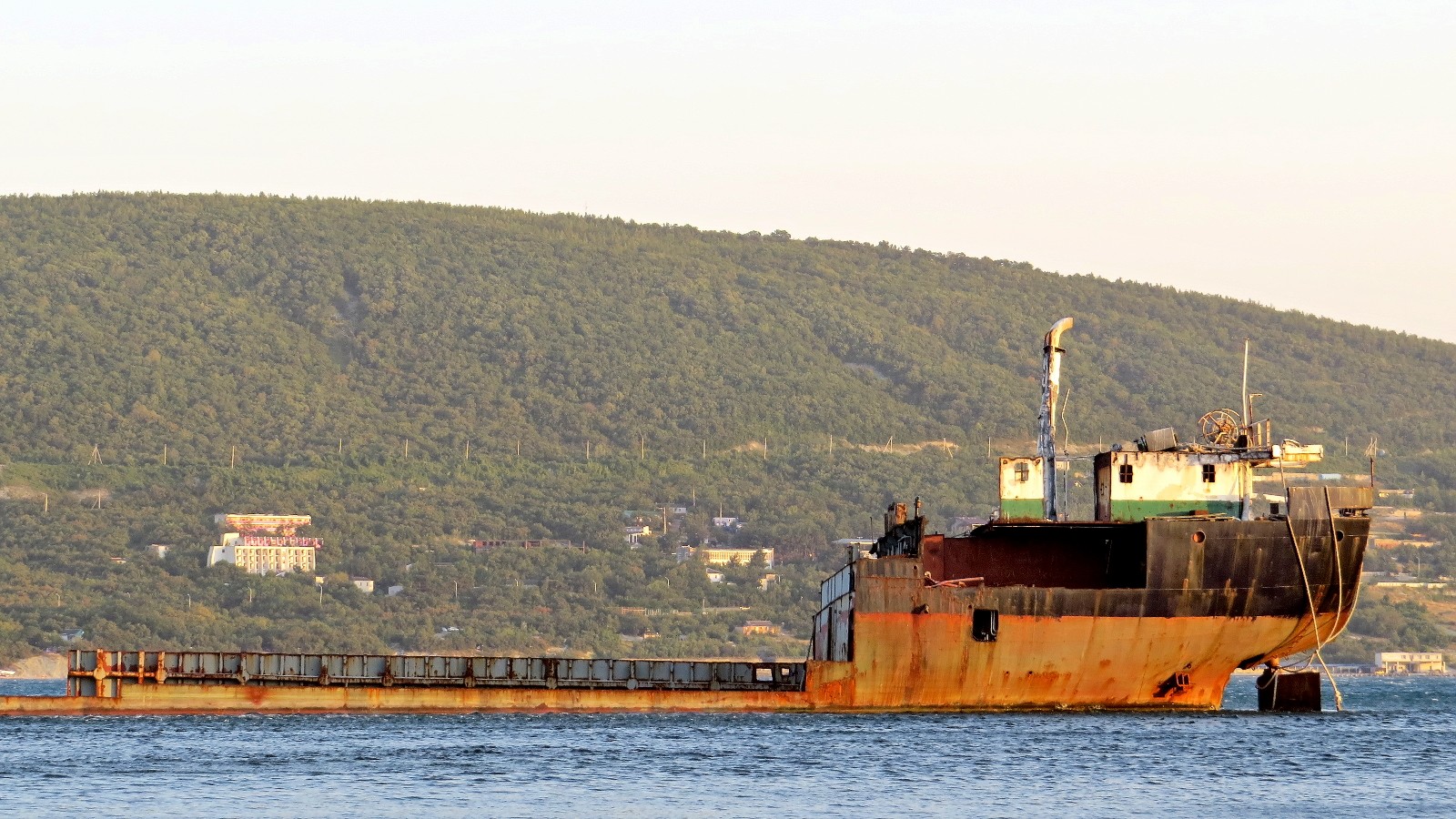 Ziya Koc