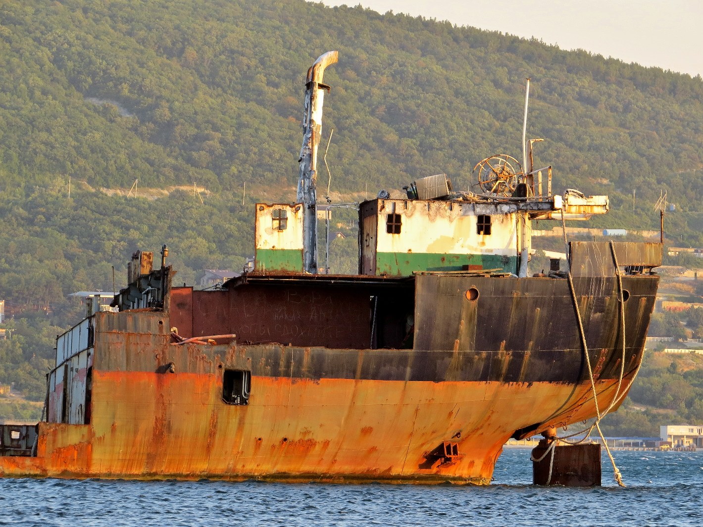 Ziya Koc