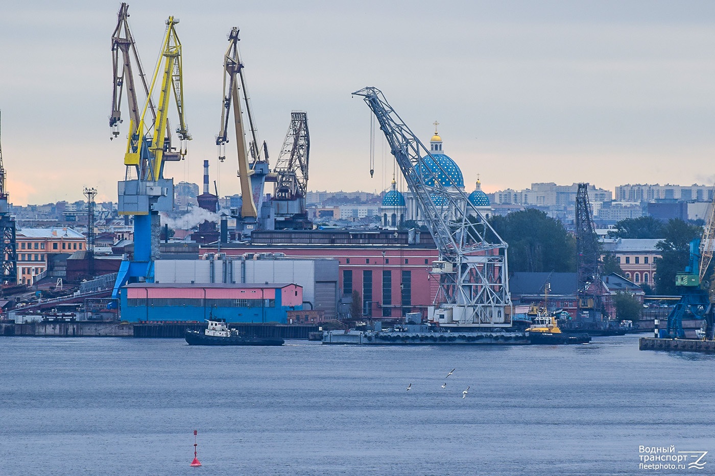 М. Сальников, ПК-175, Владимир Бельцов