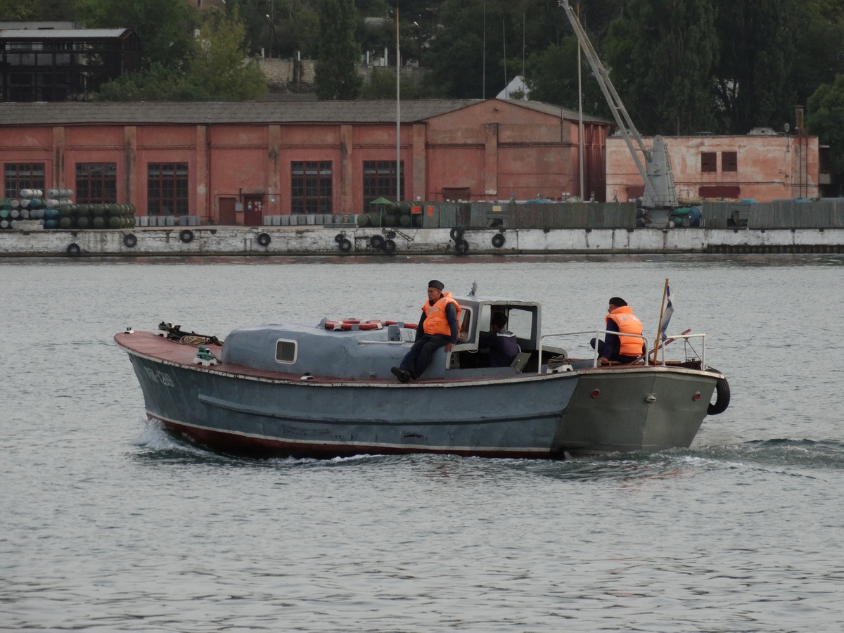 РБК-1299