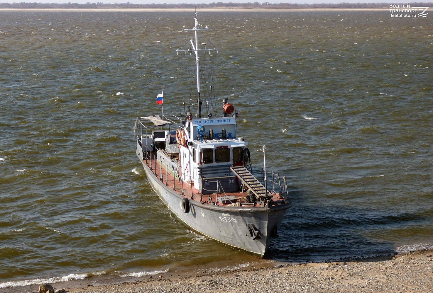 Чеглок