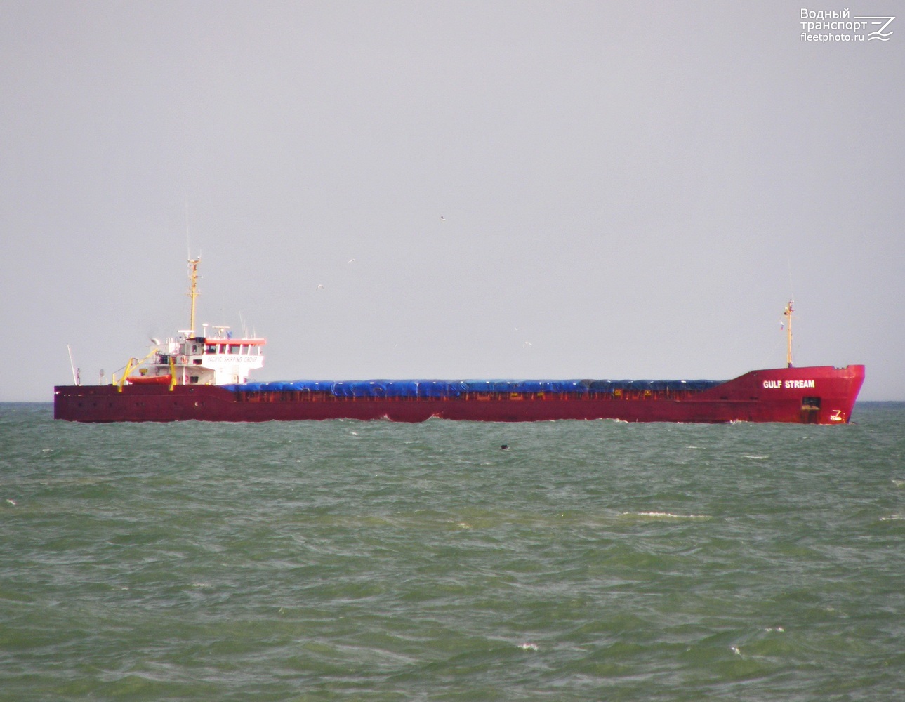 Gulf Stream